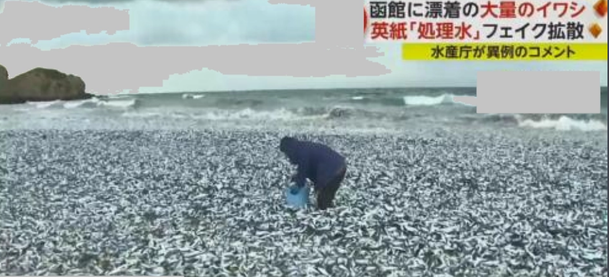 辉达平台